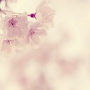 ���� ���������, ����������� - ��������� 1 ������� 2010