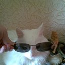 ���� �����, �������, 46 ��� - ��������� 6 ��� 2010 � ������ �������