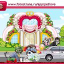  , , 37  -  15  2011   PetLove