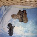 ���� �����, ��������, 51 ��� - ��������� 10 ���� 2012 � ������ ������