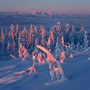 ���� ���, ������� - ��������� 22 ������ 2011 � ������ ������������