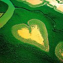 ���� �, ������, 41 ��� - ��������� 29 ���� 2013