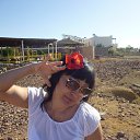 ���� ����, ������ - ��������� 3 ����� 2013 � ������ �������� 2013 ��������