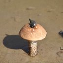 ���� Chupik, ������, 37 ��� - ��������� 29 ������� 2009 � ������ �������