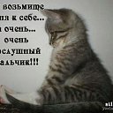 ���� �������, �����������, 39 ��� - ��������� 8 ������ 2012 � ������ �������