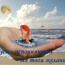 ���� �������, ������-��-���� - ��������� 8 ����� 2013 � ������ ���� ��� ����� ��������