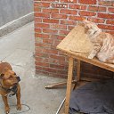 ���� �������, �����, 57 ��� - ��������� 2 ���� 2013 � ������ ����� ��� ������������