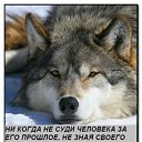 ���� �����(v), ����, 65 ��� - ��������� 17 ����� 2012 � ������ ���� ����������