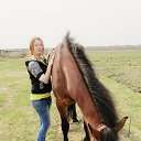 ���� �������, ������, 36 ��� - ��������� 5 ��� 2013 � ������ �߻