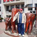 .
-    CHINA-2010