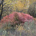 ���� ������, ��������� - ��������� 13 ������� 2012 � ������ ������-���