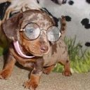 ���� ����� - ���������� ��������!!!, �����������, 56 ��� - ��������� 10 ������ 2010 � ������ �������