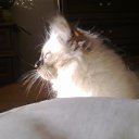   ( ),  -  22  2012     Ҹ!!!