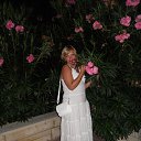 ���� �����, ������, 68 ��� - ��������� 1 ���� 2013 � ������ ���� ����������