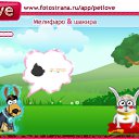 ���� �������, ������ - ��������� 13 ������ 2010 � ������ �PetLove�