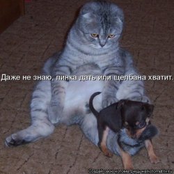 ���� �����, ���������, 42 ���� - ��������� 2 ����� 2012