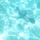 ���� �����, ������, 50 ��� - ��������� 29 �������� 2012