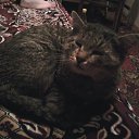 ��� ����, � ��������� ��� ���������� �� ������� �������