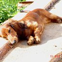 ���� &deg;&bull;*������&deg;&bull;*, ����������, 23 ���� - ��������� 3 ���� 2010 � ������ ��������!�