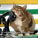 ���� ������, �������, 56 ��� - ��������� 10 ������� 2012 � ������ �������