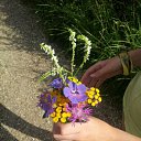 ���� ����, �������, 29 ��� - ��������� 29 ���� 2012 � ������ ���� ����������