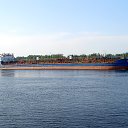 ���� ����, �������, 43 ���� - ��������� 15 ��� 2013 � ������ ���� ����������