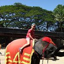 ���� ����, �����, 27 ��� - ��������� 8 ������ 2011 � ������ ��������