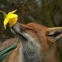 ���� �����, ������-��� - ��������� 25 ���� 2013 � ������ ���� ����������