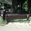 ���� ����, �����, 54 ���� - ��������� 19 ������� 2011 � ������ ����������