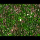 ���� ������ ���������, �������, 34 ���� - ��������� 26 ���� 2010