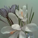 ���� ��������, ��������, 66 ��� - ��������� 1 ����� 2013 � ������ ���� ����������