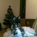 ���� Yushka Ya, �����-��������� - ��������� 12 ������ 2013 � ������ ���� �������)�