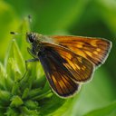 ���� ����, ������, 45 ��� - ��������� 27 ���� 2010 � ������ ���� ����� �������