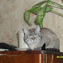 ���� Alex, ������, 50 ��� - ��������� 13 ���� 2012 � ������ ���� ����������