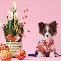 ������, �����, 22 ����