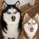 ���� "@����", �����-���������, 25 ��� - ��������� 6 ������� 2010 � ������ ��@��� �@��� �@��Ȼ