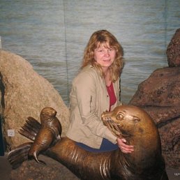 �����, �����������, 52 ����