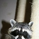 ���� Nika, ���������, 85 ��� - ��������� 10 ������ 2010 � ������ ������ �����!�