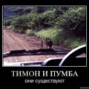 ���� ���� (�������� ���), ���������, 54 ���� - ��������� 7 ���� 2010 � ������ �������