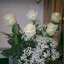 ���� ����, �����-���������, 64 ���� - ��������� 22 ������ 2012 � ������ �������