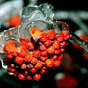 ���� �����, ������, 78 ��� - ��������� 8 ������ 2011 � ������ ������������ ���� 2010 ����..�