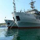 ���� ���������, �������������, 37 ��� - ��������� 17 �������� 2011 � ������ ���� ����������