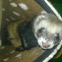 ���� �����, ������, 34 ���� - ��������� 23 ������ 2011 � ������ ���� ����������