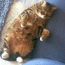  Viktor, , 28  -  15  2009    :-)