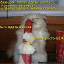 ���� ����, �����, 50 ��� - ��������� 28 ��� 2010 � ������ ������������