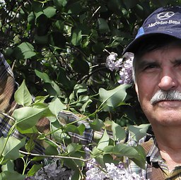 ��������, ���������, 78 ���