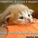 ���� �����, ��������, 41 ��� - ��������� 2 ������� 2012 � ������ �������ۻ