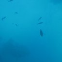 ���� ��������, ������, 45 ��� - ��������� 19 ������� 2011 � ������ ������ � ������ 2011�