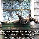 ���� ������, �������, 40 ��� - ��������� 13 ������� 2009 � ������ ����������� ��������, ������� ����������