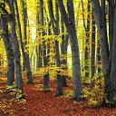 ���� �����, ����� - ��������� 24 ������ 2010 � ������ ��������